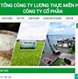 Công Ty Cổ Phần Xuất Nhập Khẩu Nông Sản Thực Phẩm Cà Mau