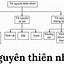 Lấy Ví Dụ Về Các Dạng Tài Nguyên Thiên Nhiên