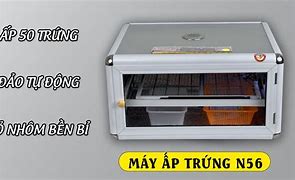 Máy Ấp Trứng Ánh Dương Bến Tre